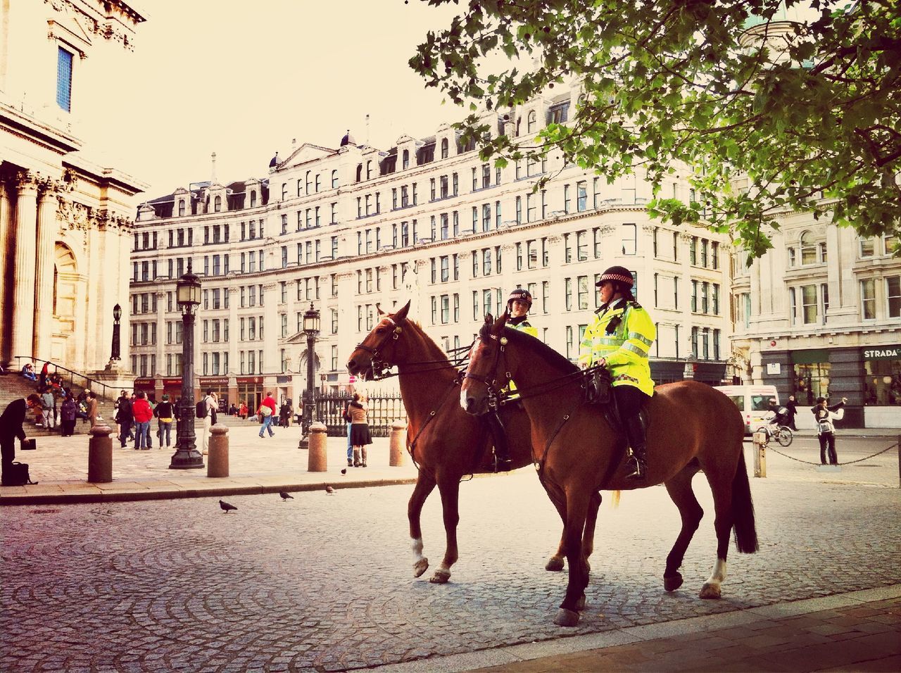 building exterior, architecture, built structure, domestic animals, city, animal themes, street, walking, full length, men, one animal, horse, person, mammal, city life, lifestyles, dog, city street, building