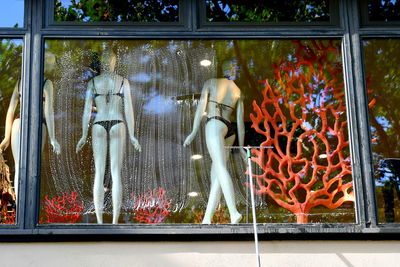 display window