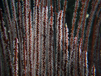 Full frame shot of multi colored fabric