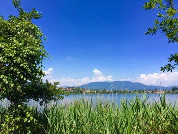 Scenic view of lake against blue sky