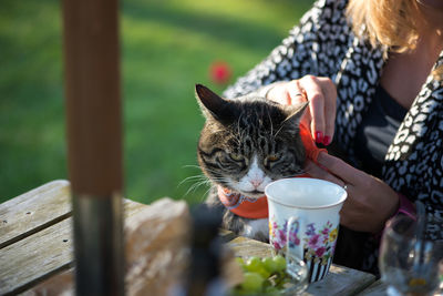 Midsection of woman with cat