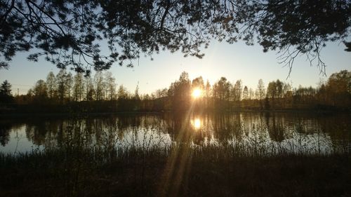 Reflection of trees in lake during sunset