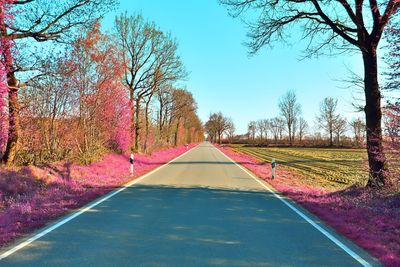 Road amidst trees against sky during autumn