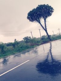 Road by trees against sky