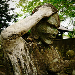 Close-up of statue against tree trunk