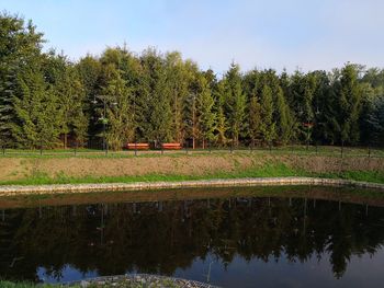 Reflection of trees on lake against sky