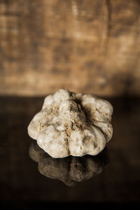 Close-up of mushrooms on wooden table