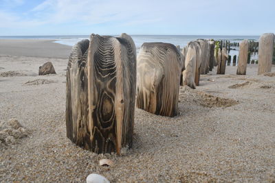Panoramic view of wooden posts on beach against sky