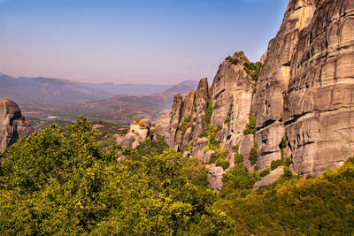 Plants growing on rock against sky