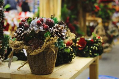 Close-up of potted plant on table