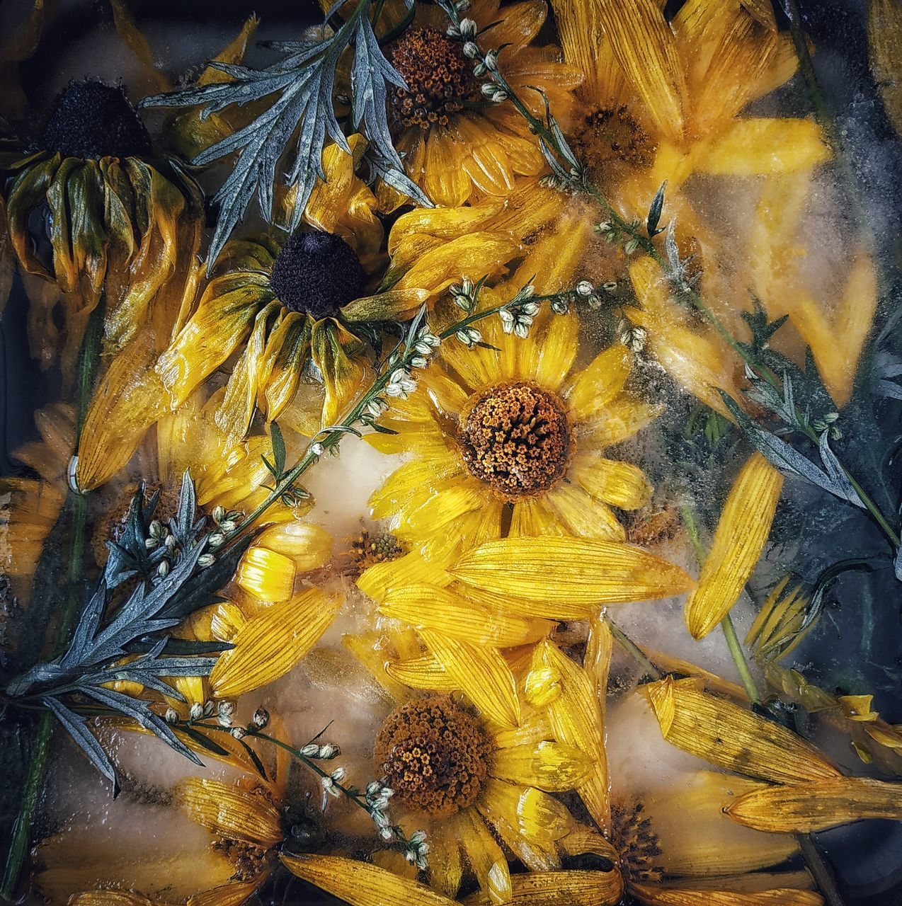 FULL FRAME SHOT OF YELLOW WATER ON PLANT