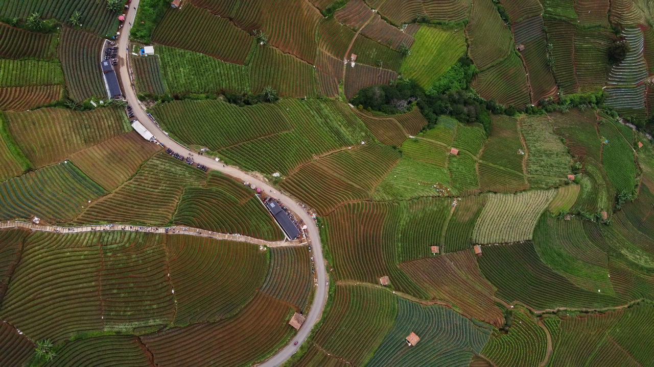 FULL FRAME SHOT OF FARM FIELD