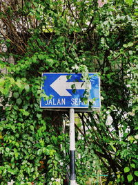 Low angle view of road sign against trees