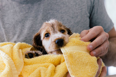 Midsection of man drying wet puppy with towel