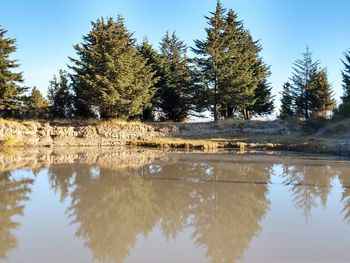 Reflection of trees in lake against sky