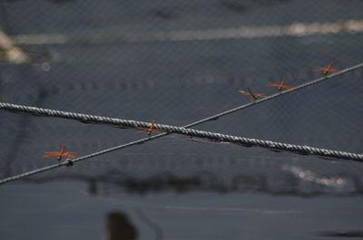 Close-up of barbed wire fence