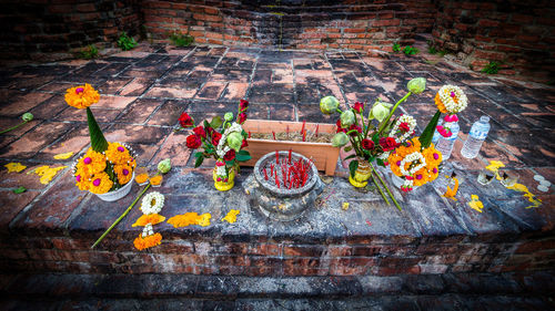 High angle view of flowers