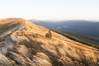 Scenic view of mountains against clear sky