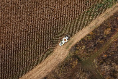 Aerial view of a combine harvesting corn with a modern machine, effective harvest