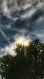 Low angle view of silhouette trees against sky