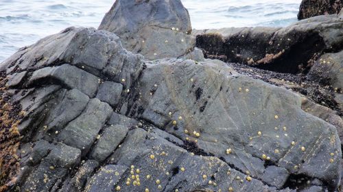 Close-up of rocks on shore