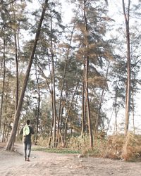 Rear view of man standing by trees in forest