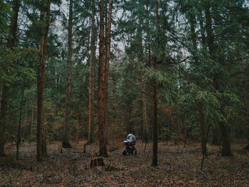 Baby stroller stands in the middle of a gloomy rainy green forest