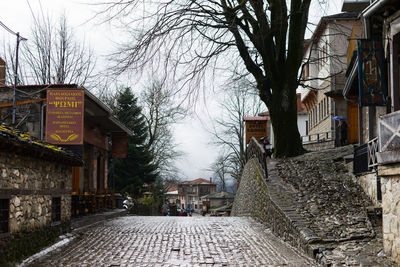 Street amidst bare trees against sky