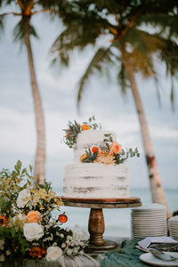 Potted plant on table by palm trees