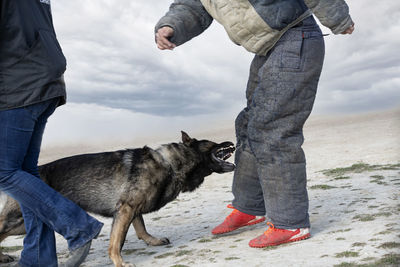 Low section of man holding dog