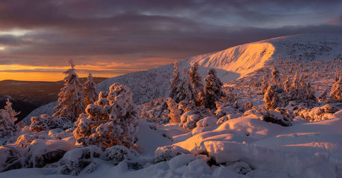 snow
