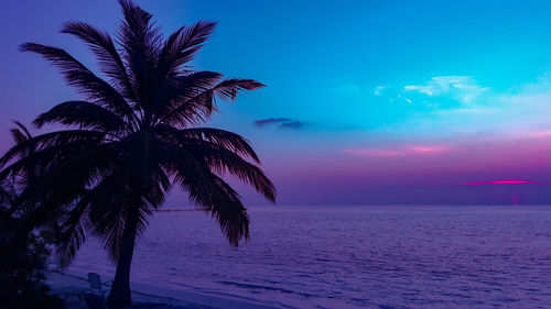 Silhouette palm tree by sea against sky at sunset