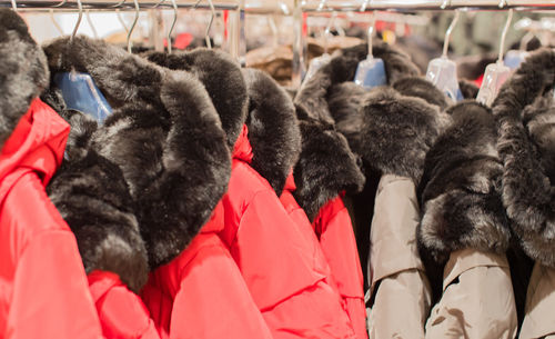 Close-up of fur coats hanging on rack