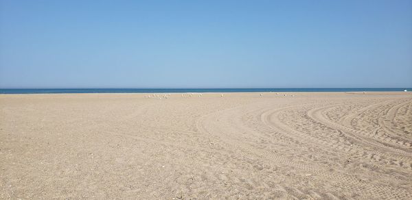 Scenic view of beach against clear blue sky