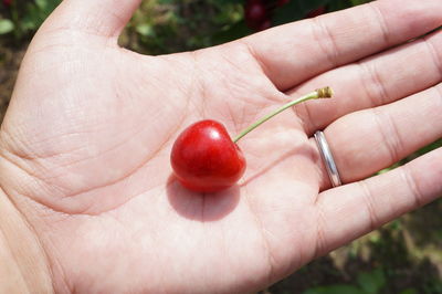 Close-up of cropped hand