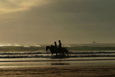 People riding horses on beach 