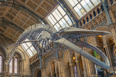 Low angle view of ceiling of historical building