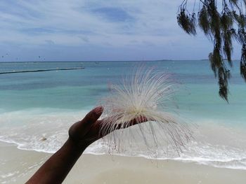 Person hand on beach against sky