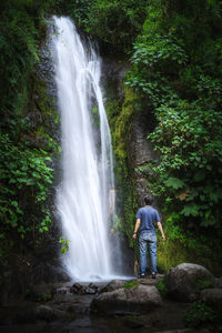 Man looking at waterfall in forest