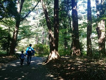 Rear view of father walking in forest