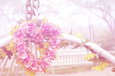 Close-up of hand on pink flowers