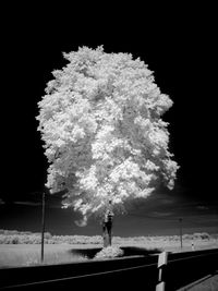 Man on tree against sky at night