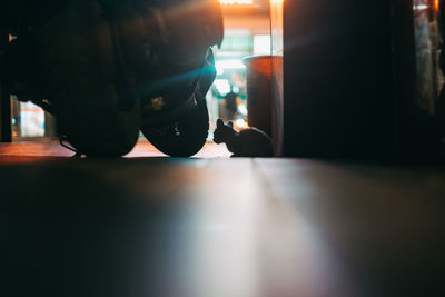 Low section of man standing on table