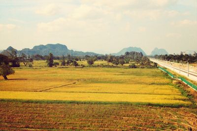 Scenic view of landscape against sky