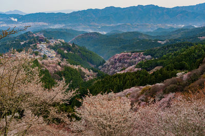 High angle view of landscape and mountains