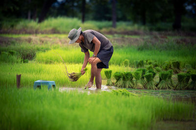 Man working on field