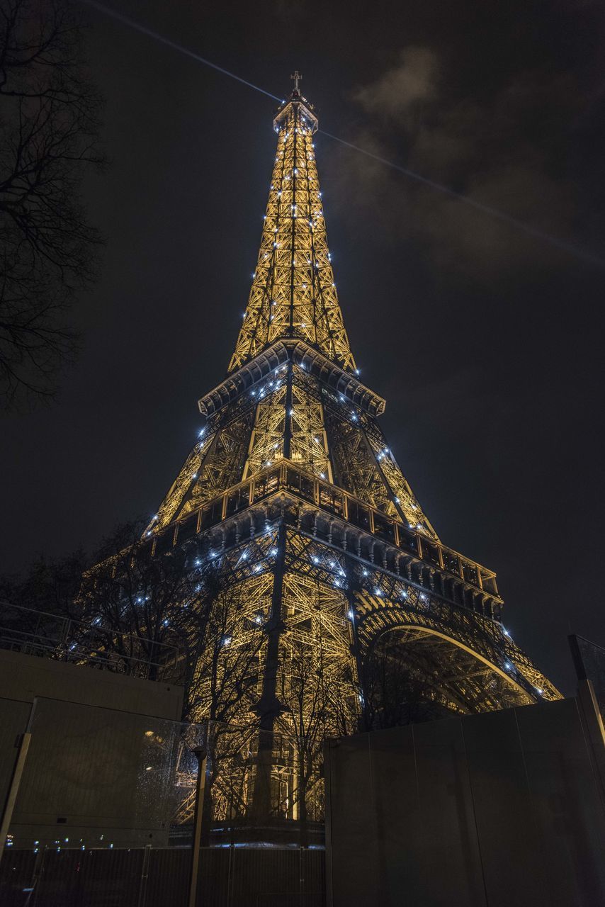 LOW ANGLE VIEW OF ILLUMINATED TREE AT NIGHT