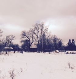 Bare trees on snow covered landscape against sky