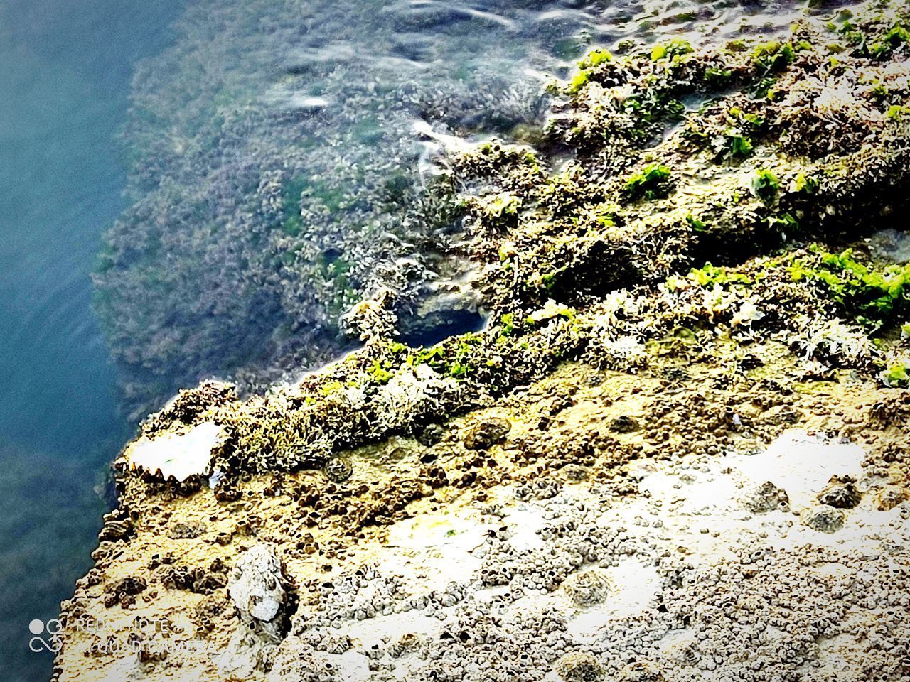 HIGH ANGLE VIEW OF ROCK ON SEA