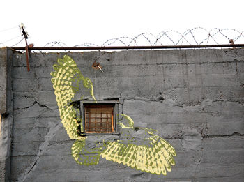 Plants growing by wall of house against clear sky